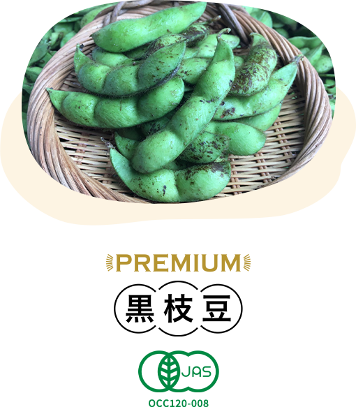 オーガニック丹波黒大豆・黒枝豆生産
