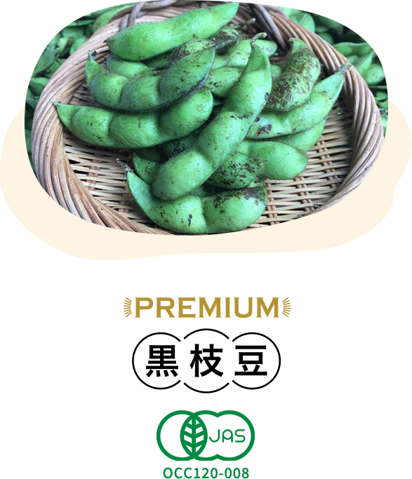 オーガニック丹波黒大豆・黒枝豆生産