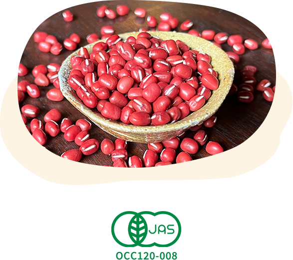 オーガニック(有機栽培)丹波⼤納⾔⼩⾖