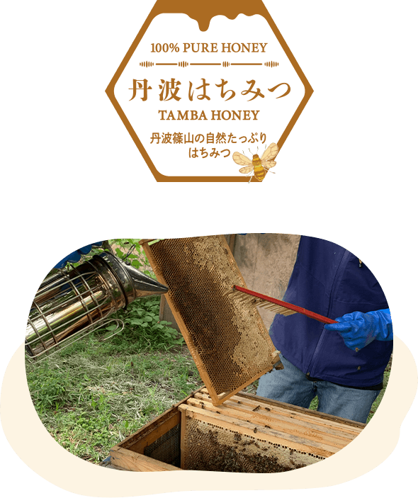 丹波はちみつ生産