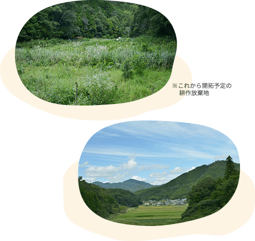 ⾥地⾥⼭の活性化