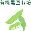 有機黒豆栽培