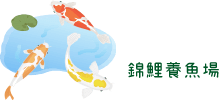 錦鯉養魚場